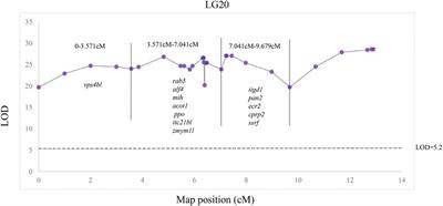 A High-Density Genetic Map and QTL Fine Mapping for Growth- and Sex-Related Traits in Red Swamp Crayfish (Procambarus clarkii)